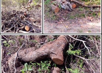 "Dimbulagala-Forest -Destruction