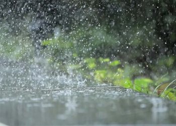 rain