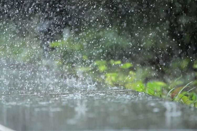 rain